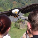 FG Mannheim 20 Motzko Josef